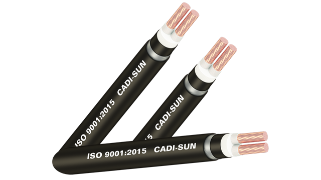 Cáp ngầm Cu/XLPE/DSTA/PVC 2x150